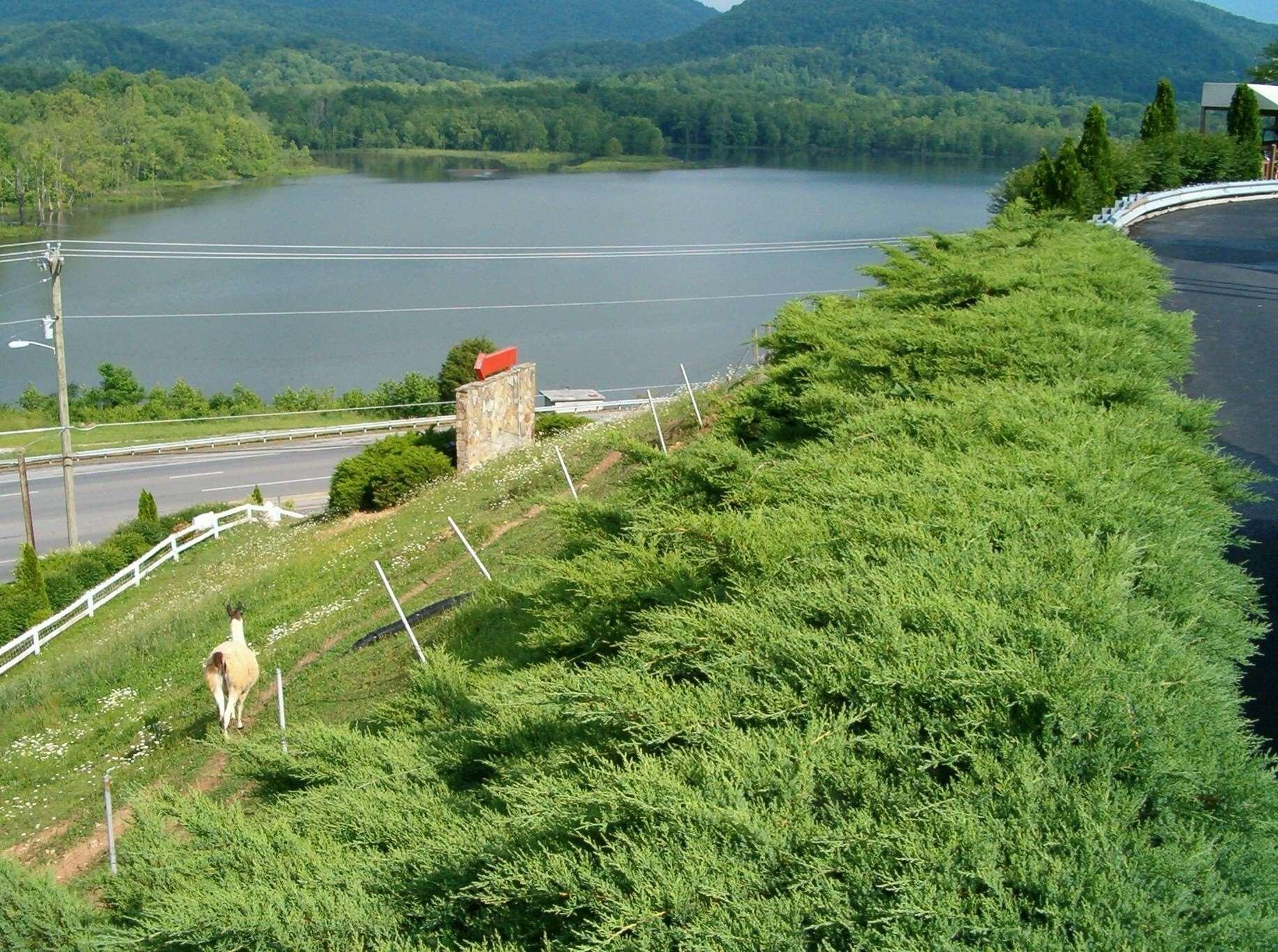 Hampton Inn Caryville-I-75/Cove Lake-State Park Luaran gambar